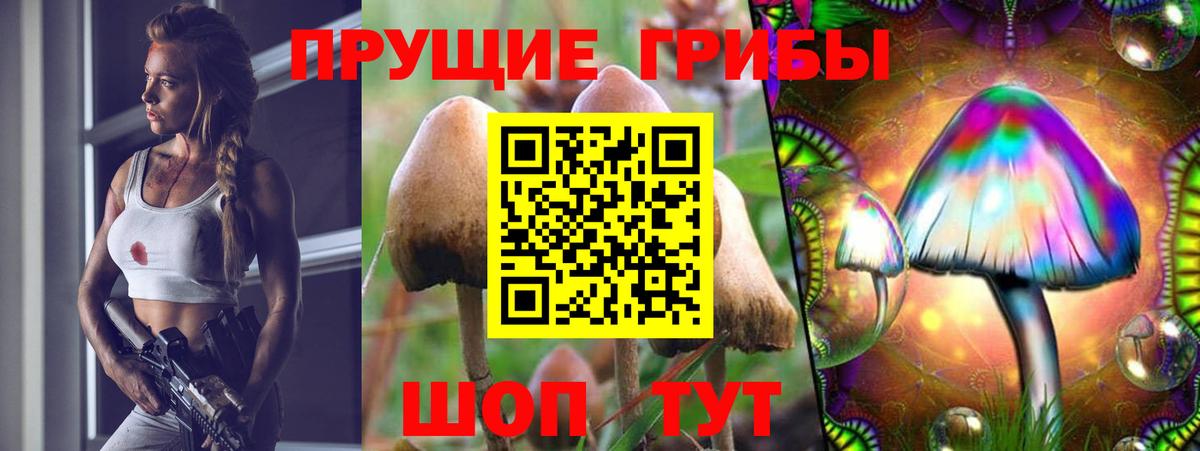 Галлюциногенные грибы прущие грибы Чайковский