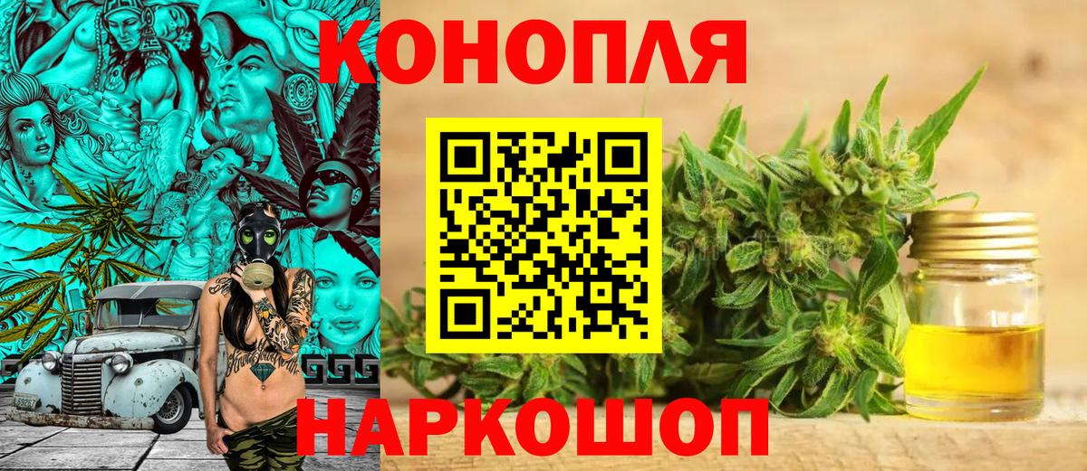 Канабис SATIVA & INDICA  Каннабис ГИДРОПОН  Чайковский  Вход с VPN 